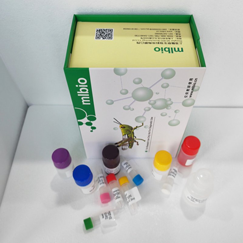 生物技术研发服务选购指南