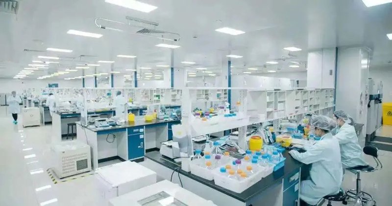 重组蛋白表达选购指南：打造高效生产流程