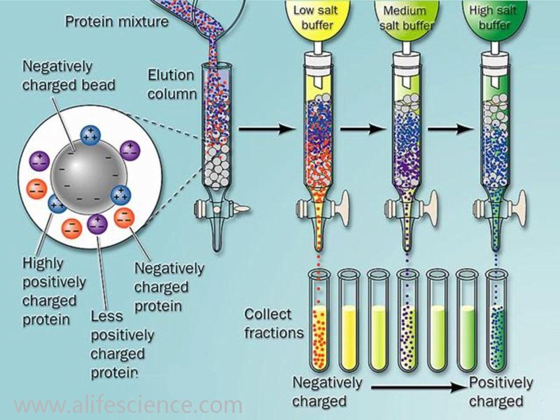 生物技术研发服务：探索生命科学的未来