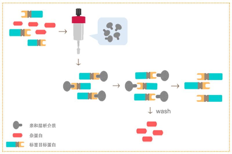 基因测序外包服务：助力科研创新的新引擎